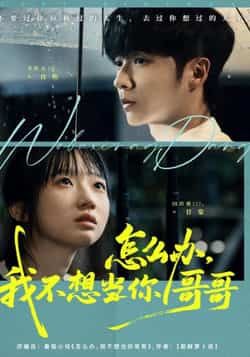 热门短剧怎么办，我不想当你哥哥全集完整版纯净免费在线观看未删减，百度夸克网盘资源免费下载。