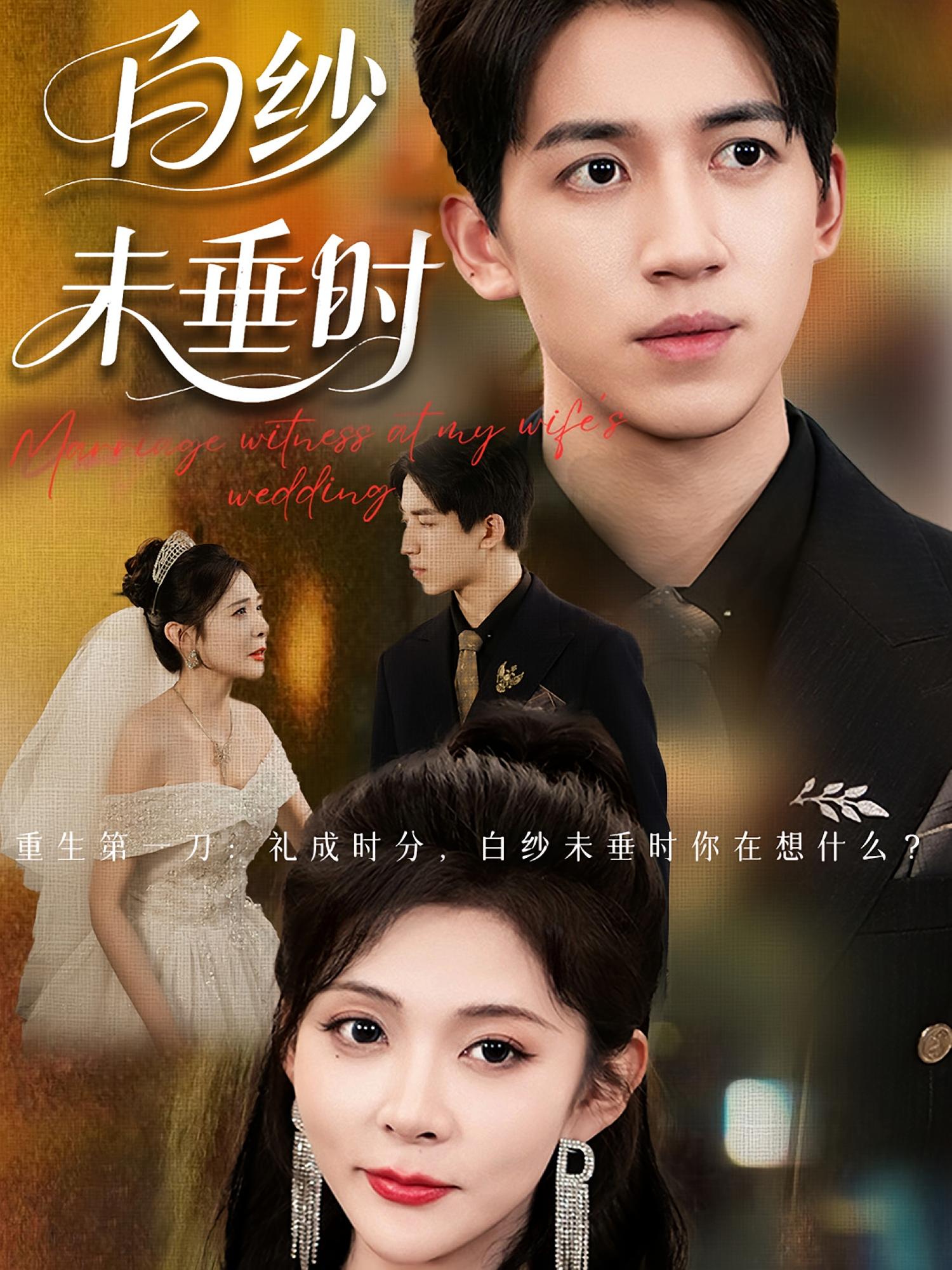 短剧 《老婆婚礼我当证婚人&amp;白纱未垂时》 高清全集无删减版在线免费看